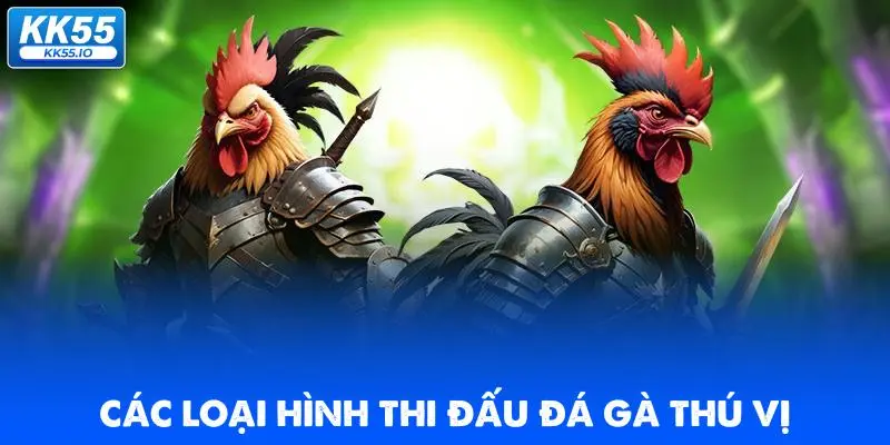Đá Gà KK55 | Xem Trực Tiếp Các Trận Thi Đấu HD Chất Lượng 2 cac-loai-hinh-thi-dau-da-ga-thu-vi