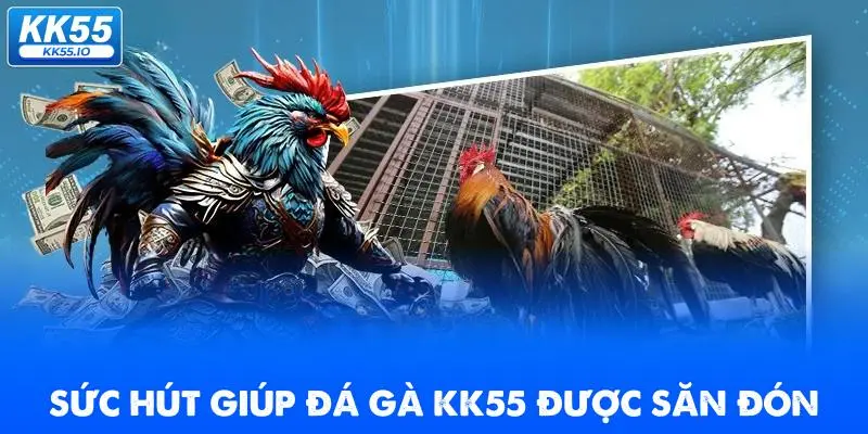 Đá Gà KK55 | Xem Trực Tiếp Các Trận Thi Đấu HD Chất Lượng 1 suc-hut-giup-da-ga-kk55-duoc-san-don